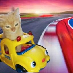 vroom