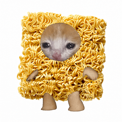 noodlecat