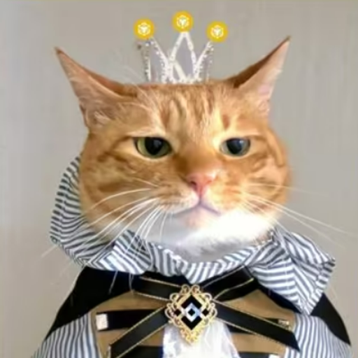 CATKING