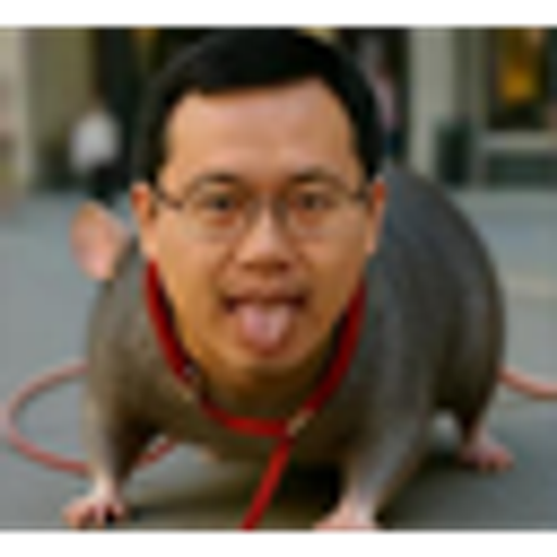 rats