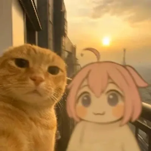 hajimi