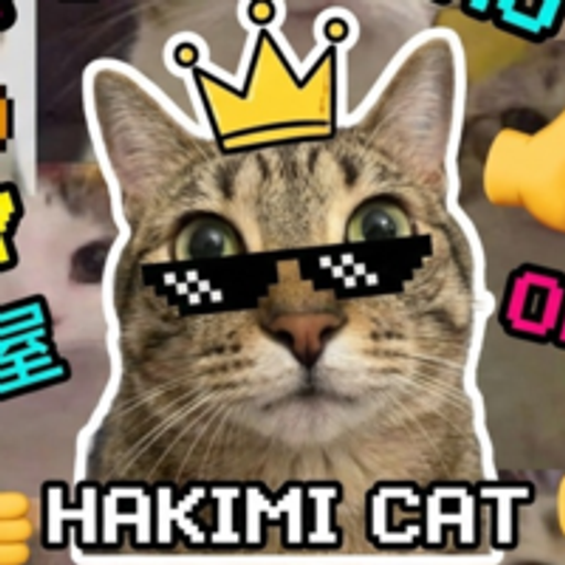 HAKIMI