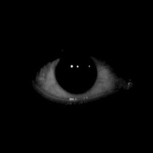 Watchers