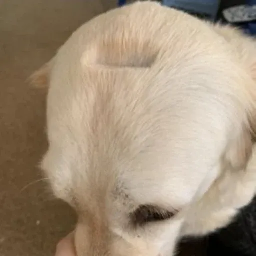 Muki