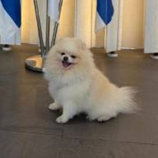 Fluff