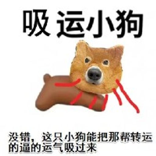 吸运小狗