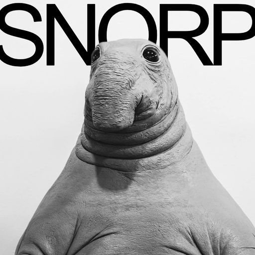 Snorp