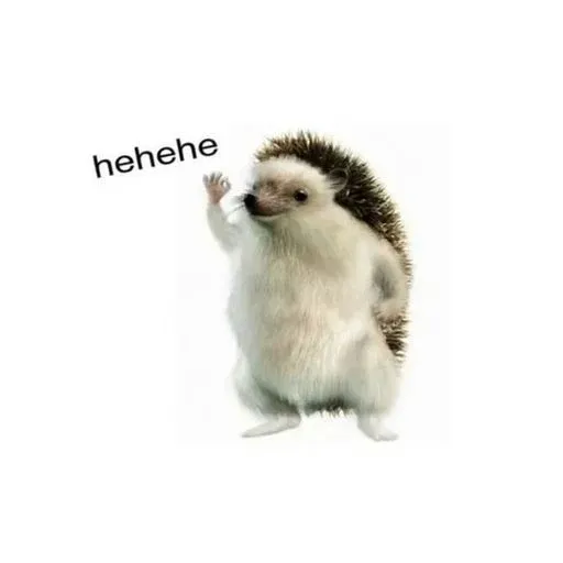 hehehe