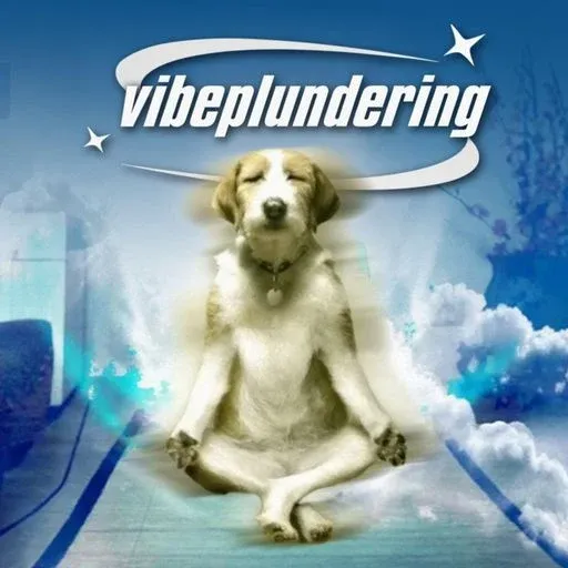 vibeplunder