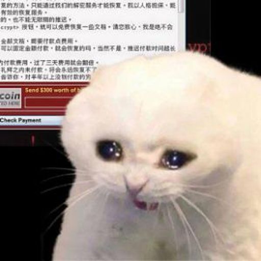 勒索猫