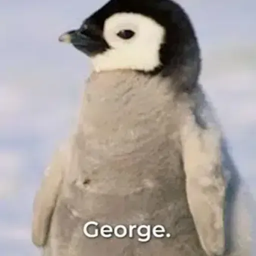 GEORGE