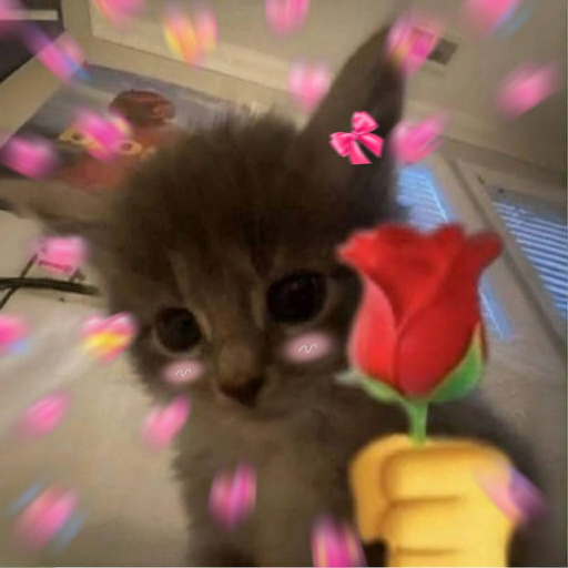 ILY