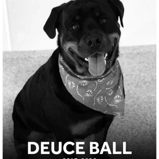 DEUCE
