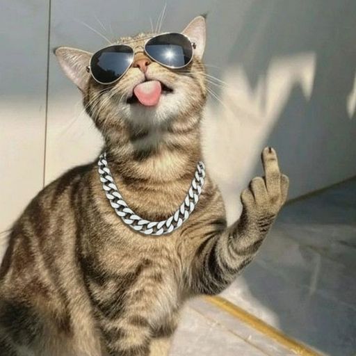 $MCat