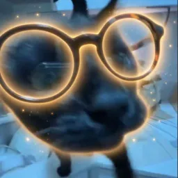 nerdcat