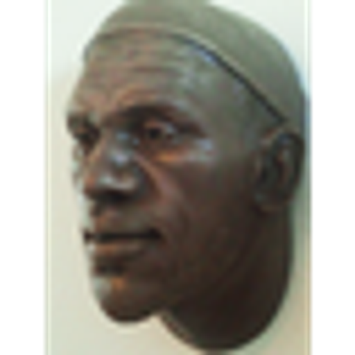 LEBRONZE