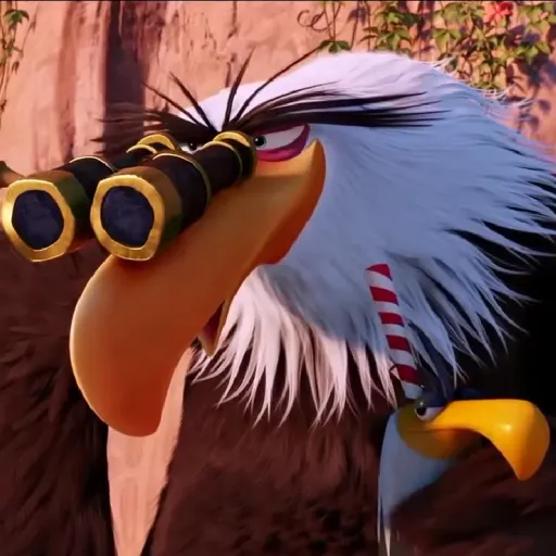 Binoculars