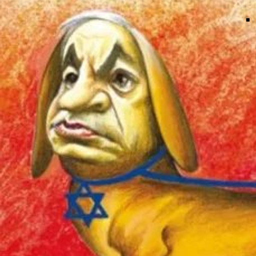 BIBI