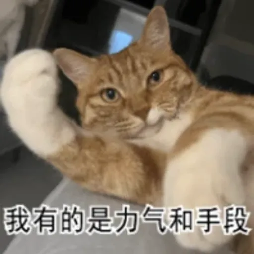 橘总
