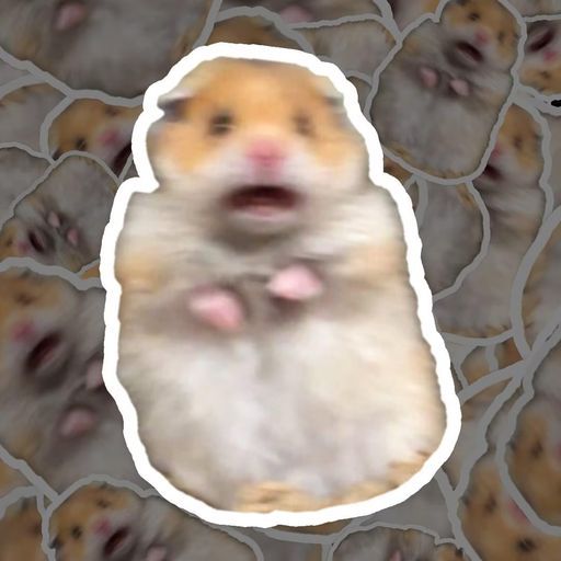 HAMSTER