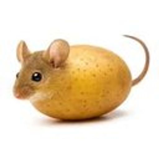 马铃鼠
