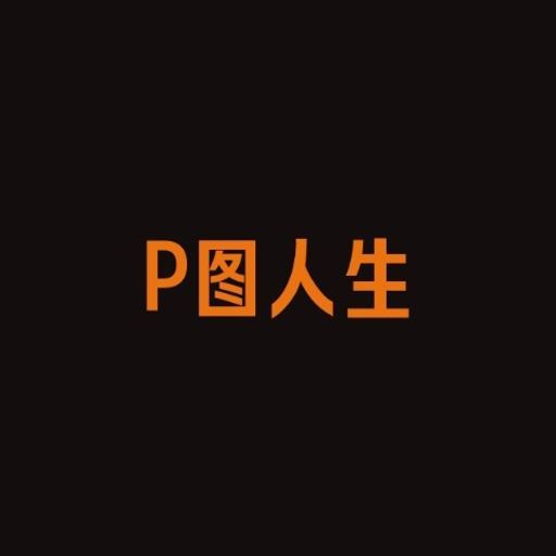 P图人生