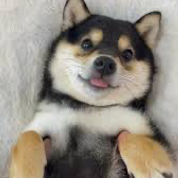 Manyu