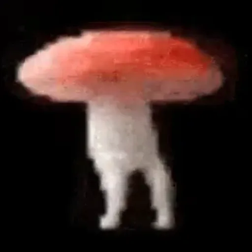 shroom