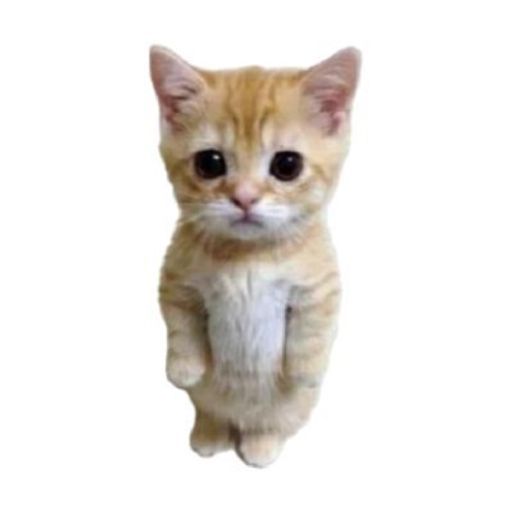 交易猫