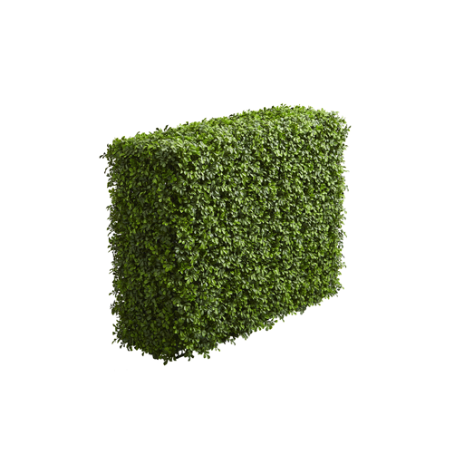 Hedge