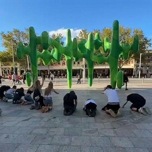 Cactus