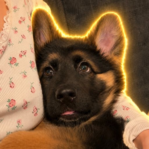 ELSA