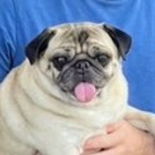 Lulu