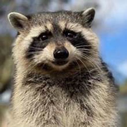 Fredward