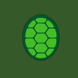 Turtle Tri