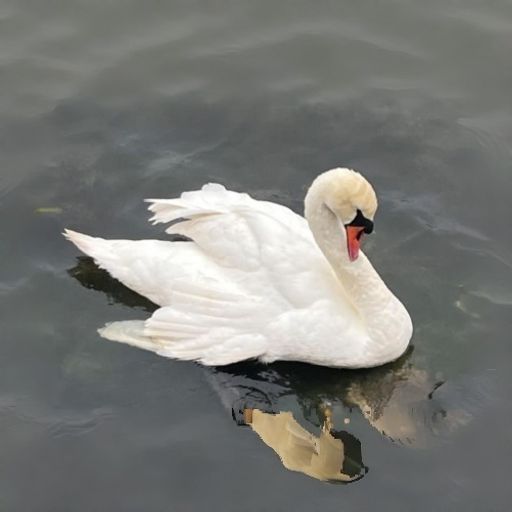 Swanny
