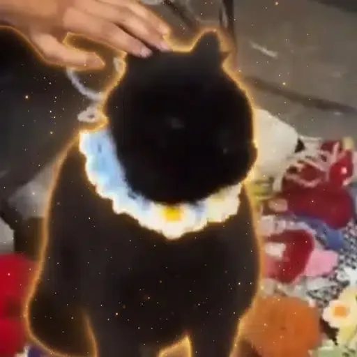 钩针编织