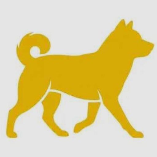 DogeX