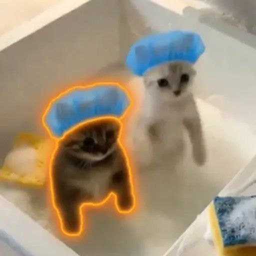 catrot