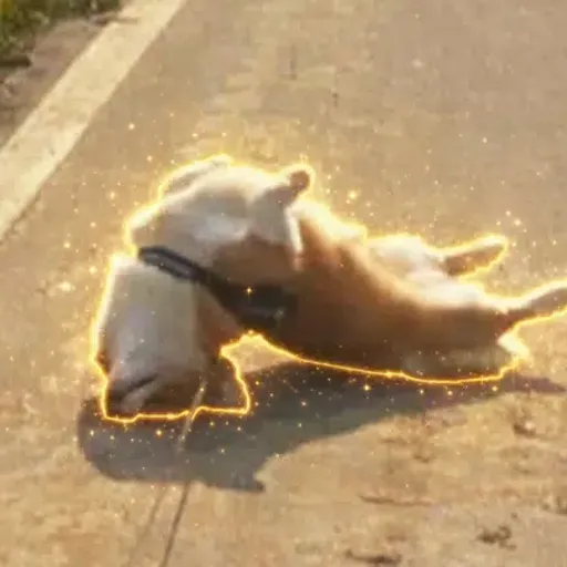 Inubauer