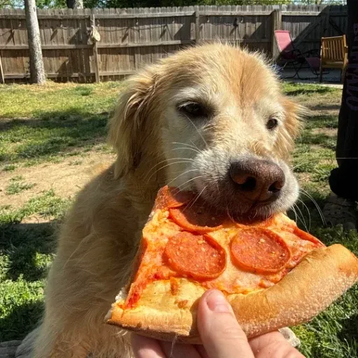 Gemma