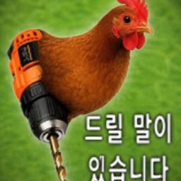 Drillchicken