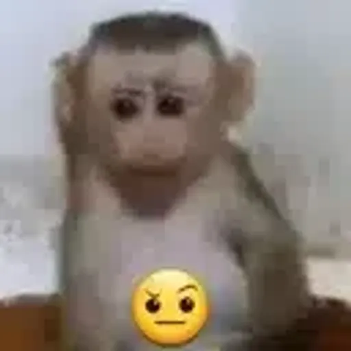 SUSMONKEY