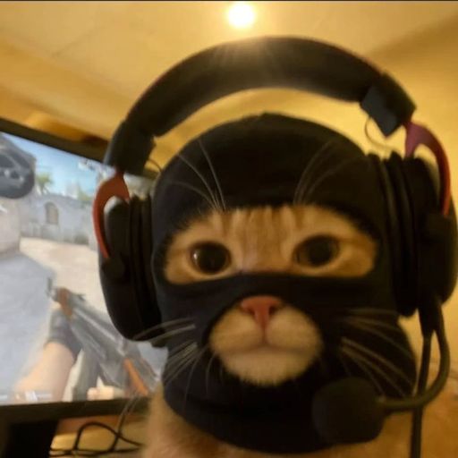 Meaw Gamer
