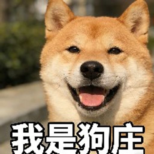 来坐庄