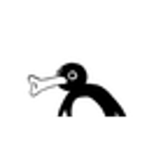 NOOT