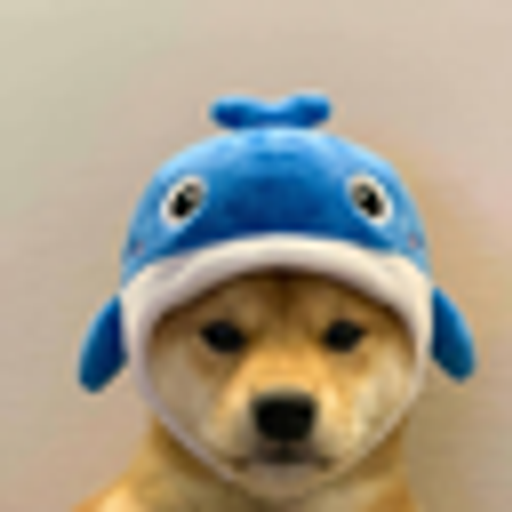 WIFWHALE