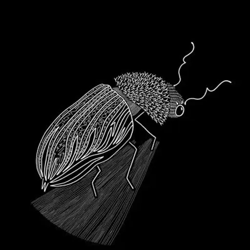 PERMUTATIONI