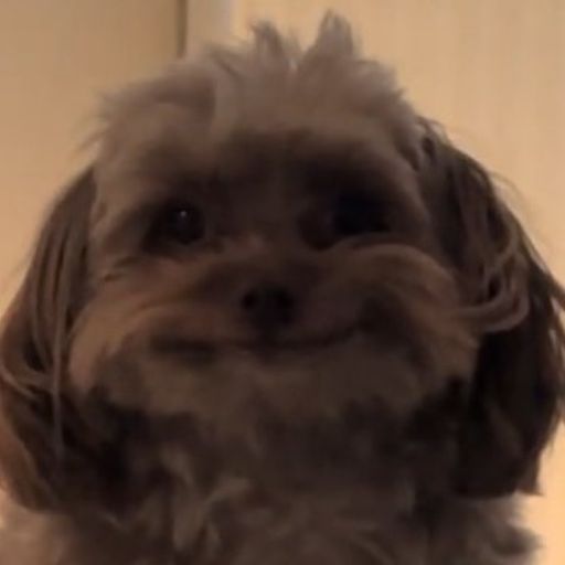 TEDDY