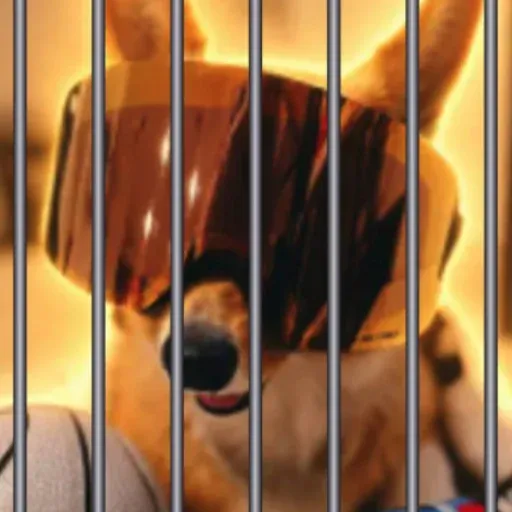 JailCorgi